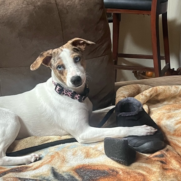 Meet your Posher, Christine - Picture 7 of 9